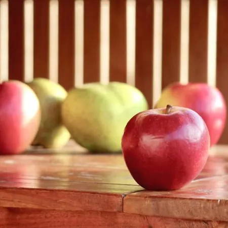 Hotel Liebesnesterl Bergwirt - Boutique 4*