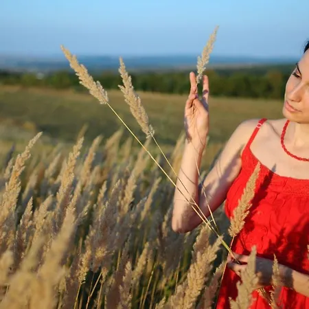Hotel Liebesnesterl Bergwirt - Boutique Köflach