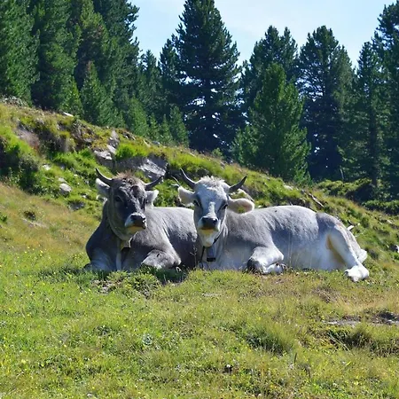 Liebesnesterl Bergwirt - Boutique Hotel Köflach