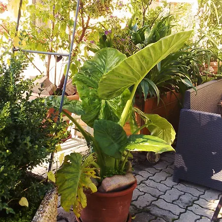 Liebesnesterl Bergwirt - Boutique Köflach