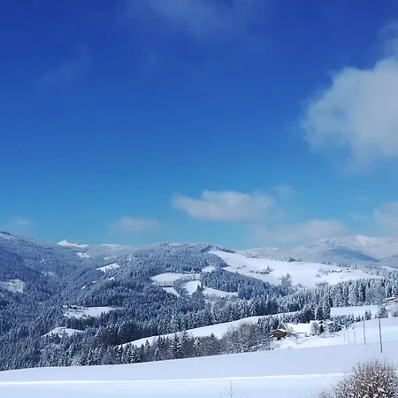 Liebesnesterl Bergwirt - Boutique Hotel Köflach