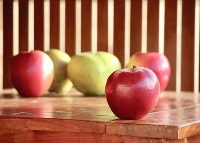 Hotel Liebesnesterl Bergwirt - Boutique 4*