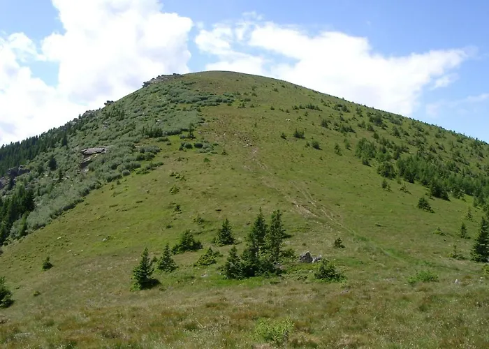 Liebesnesterl Bergwirt - Boutique 4* Köflach