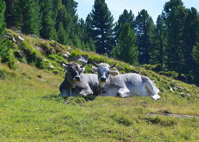 Liebesnesterl Bergwirt - Boutique Otel Köflach