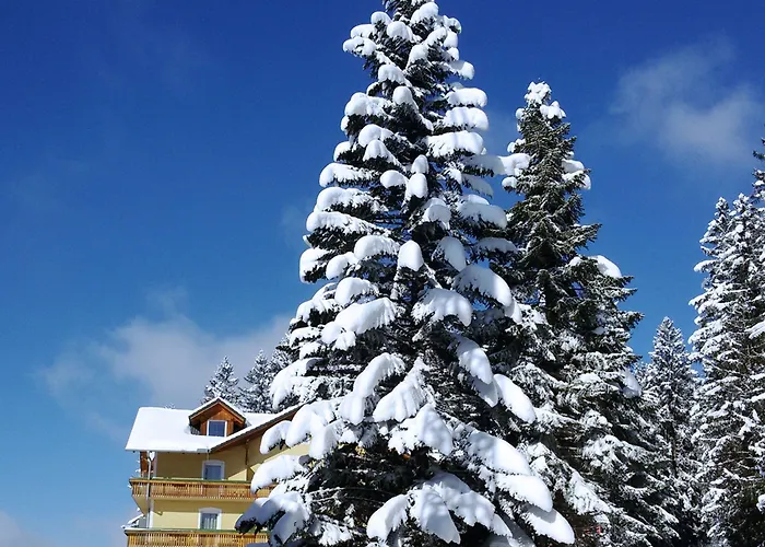 Liebesnesterl Bergwirt - Boutique Hotel 4*