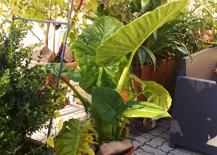 Liebesnesterl Bergwirt - Boutique Köflach