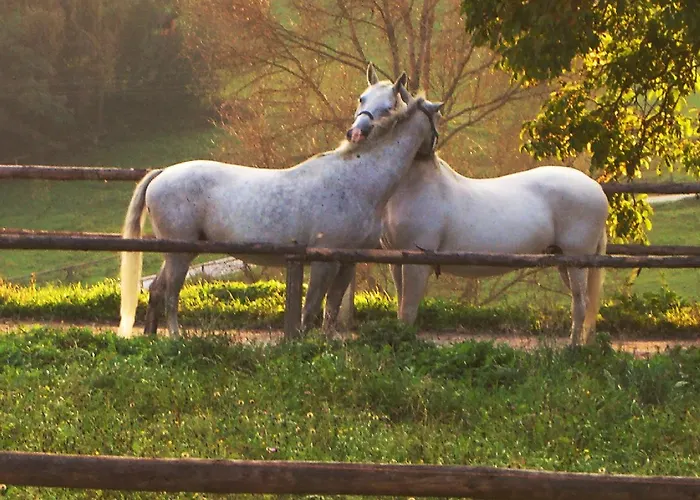 Liebesnesterl Bergwirt - Boutique 4*